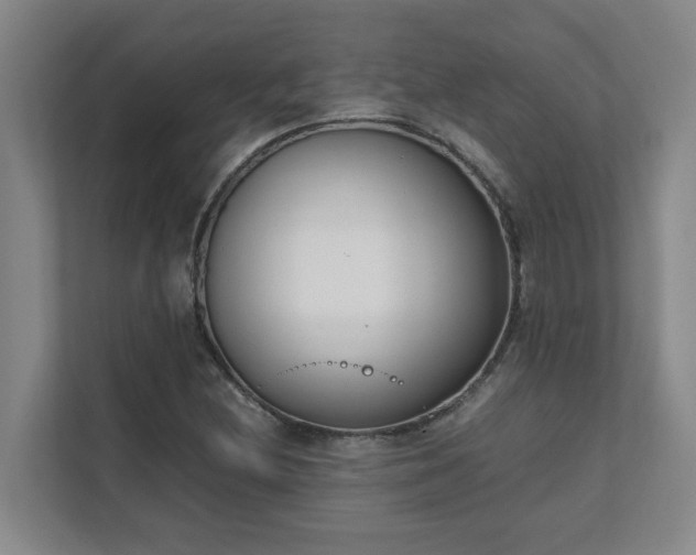 X0000111491212200907211002