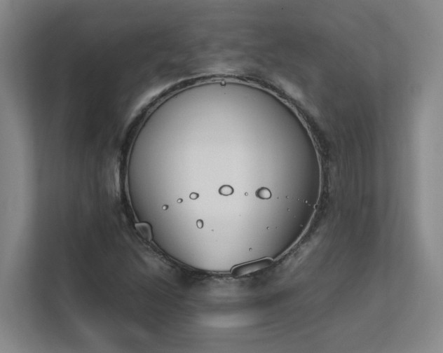 X0000111491214200907211002