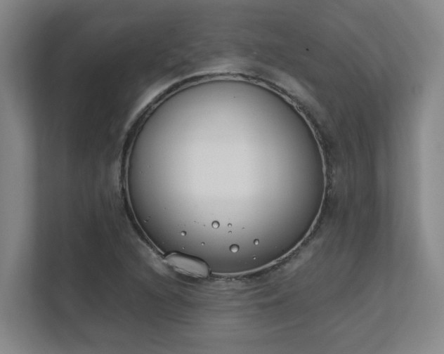 X0000111491216200907211002