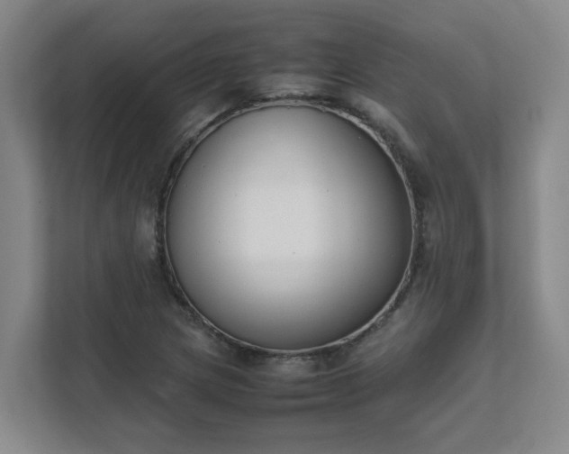 X0000111491217200907211002