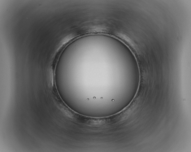 X0000111491219200907211002