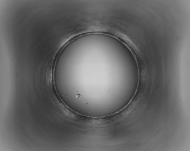 X0000111491220200907211002