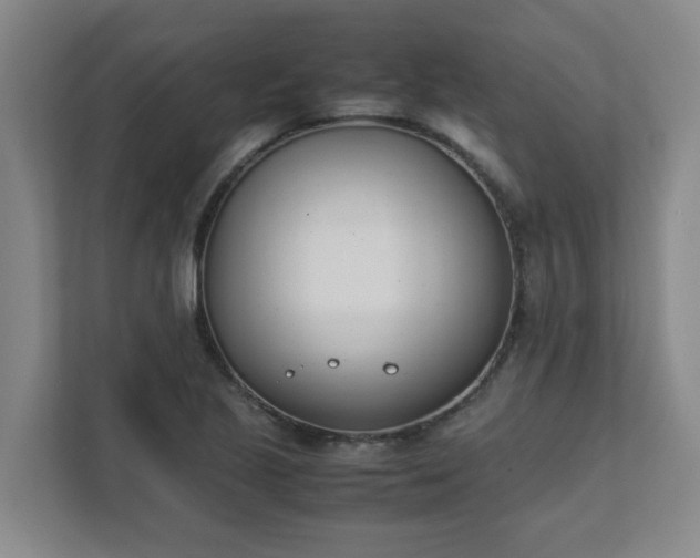 X0000111491221200907211002