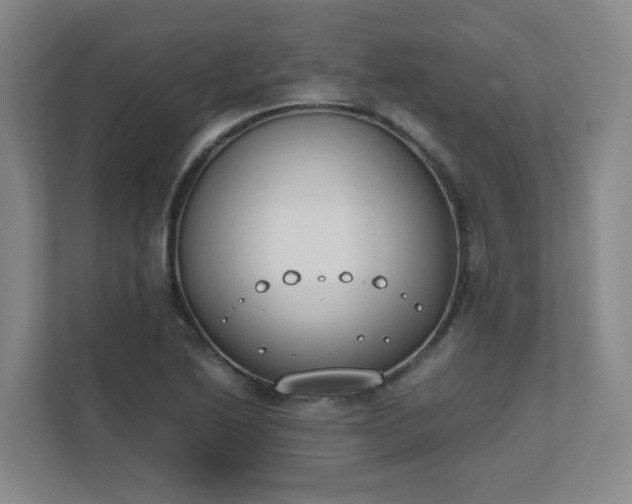 X0000111491222200907211002