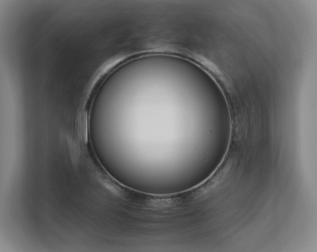 X0000111491223200907211002