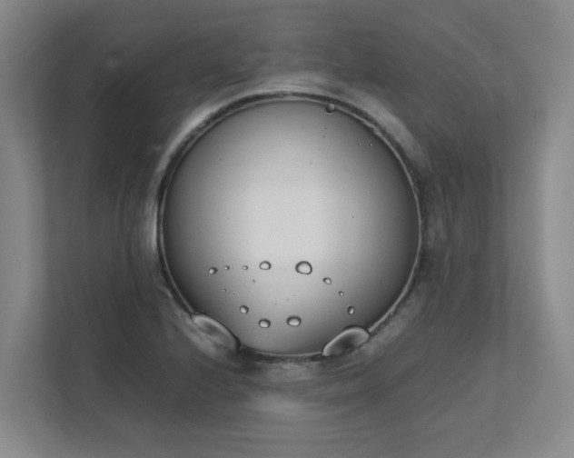 X0000111491224200907211002