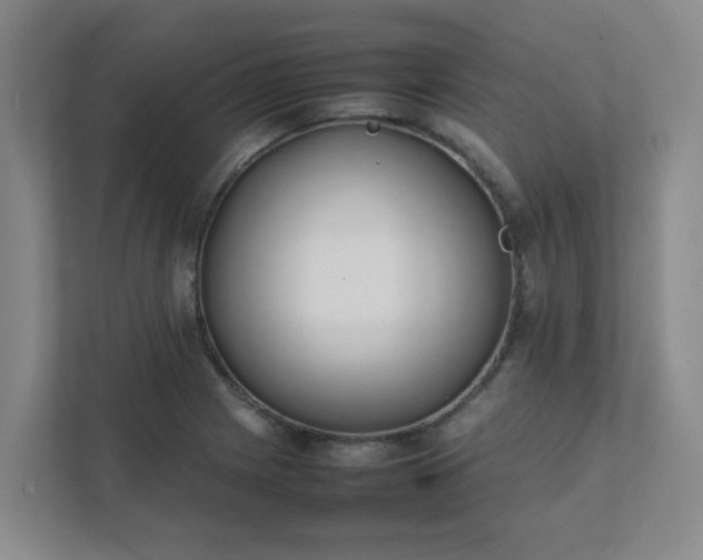 X0000111491225200907211002