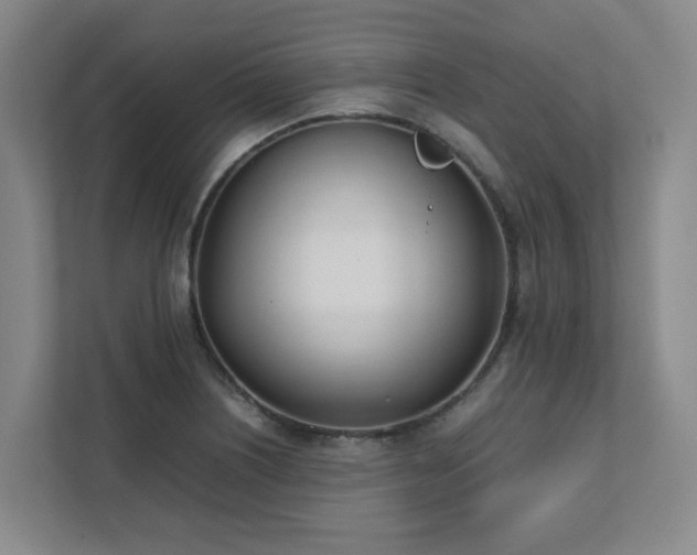 X0000111491226200907211002