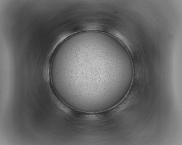 X0000111491227200907211002