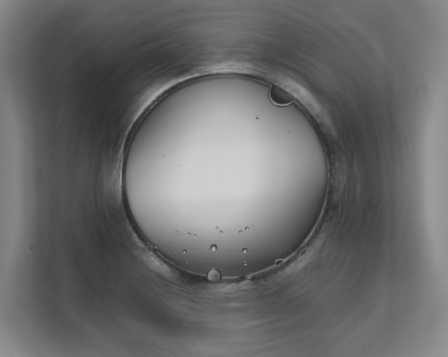 X0000111491228200907211002