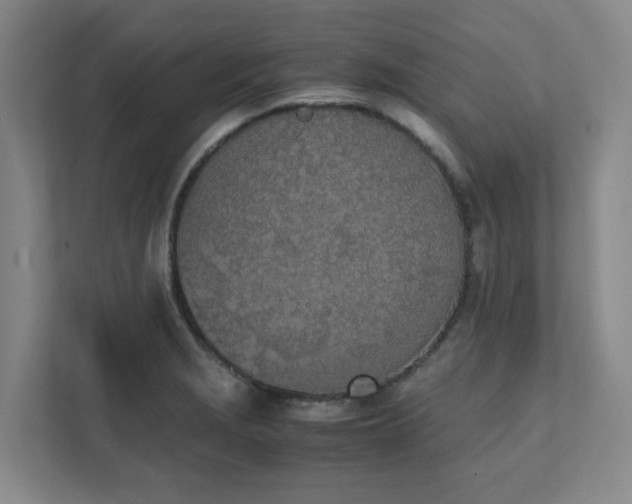 X0000111491229200907211002