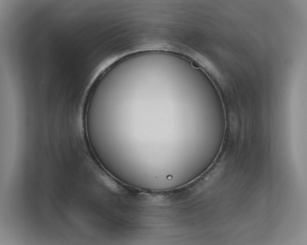 X0000111491230200907211002