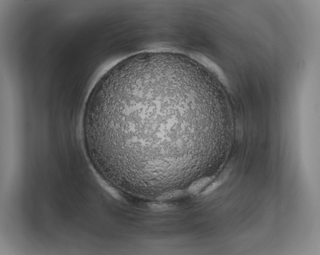 X0000111491231200907211002