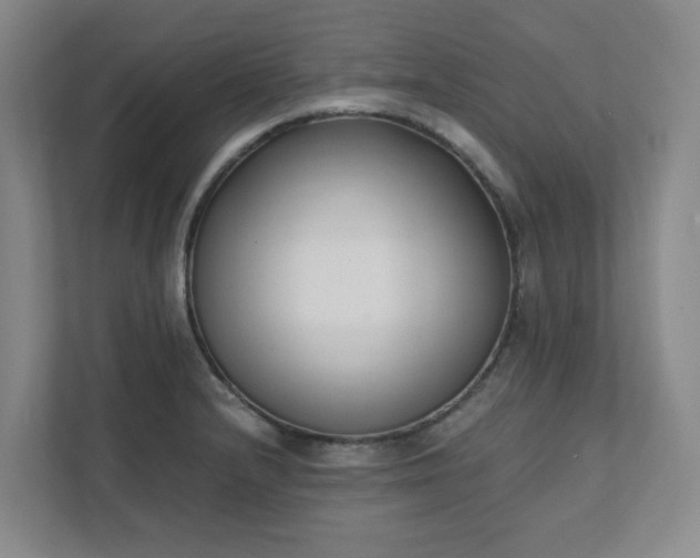 X0000111491232200907211002