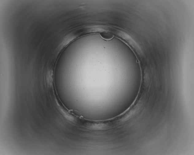 X0000111491233200907211002