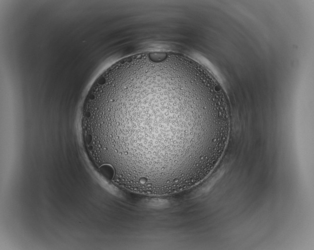 X0000111491235200907211002