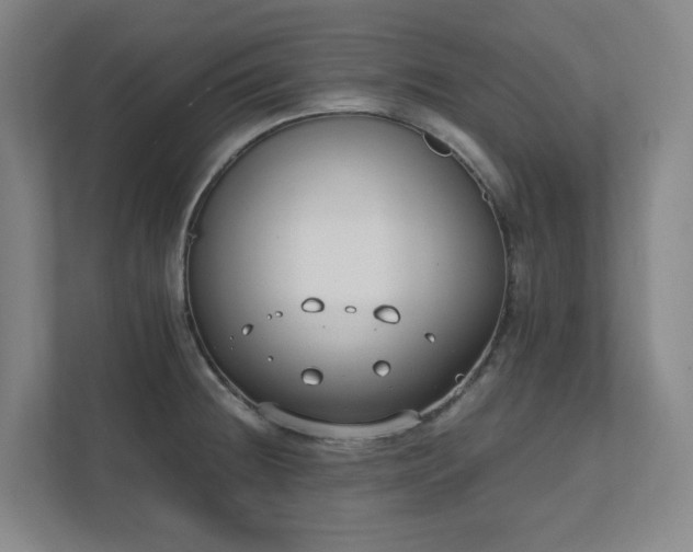 X0000111491236200907211002