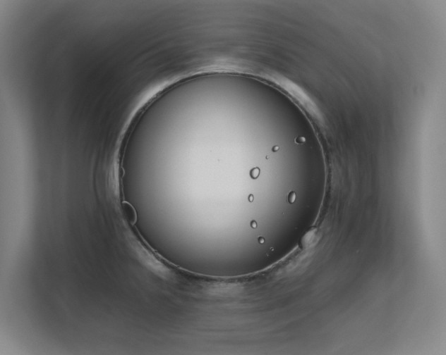 X0000111491238200907211002