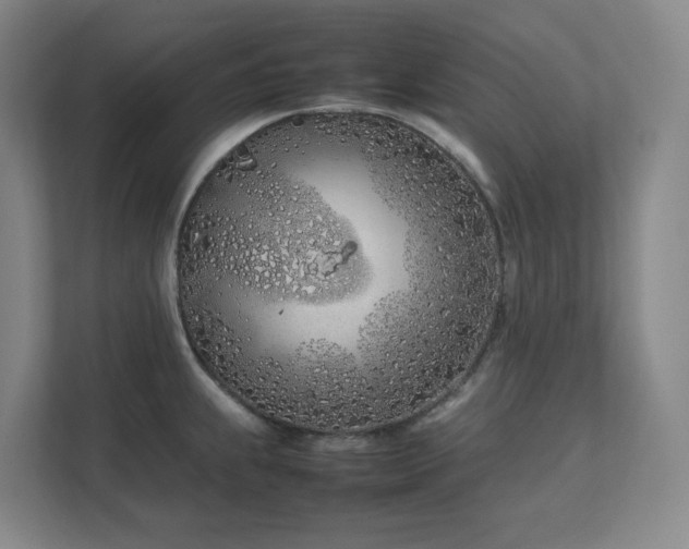 X0000111491239200907211002