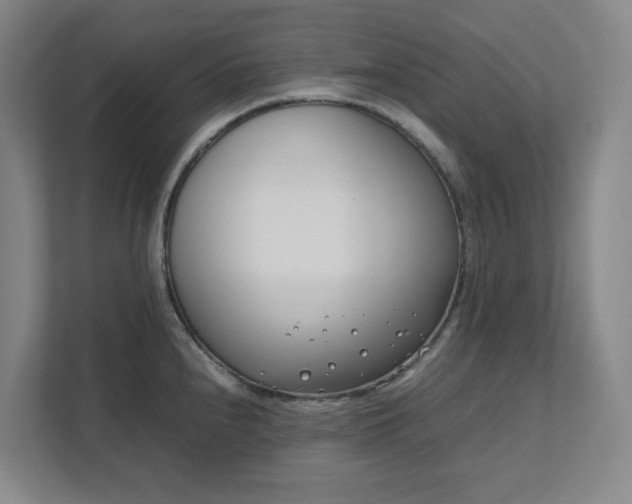 X0000111491240200907211002