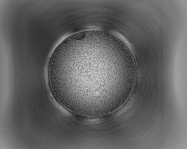 X0000111491243200907211002