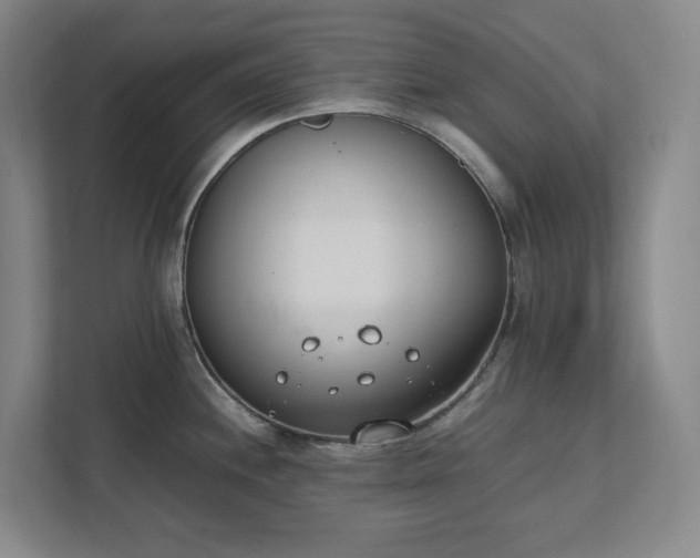 X0000111491244200907211002