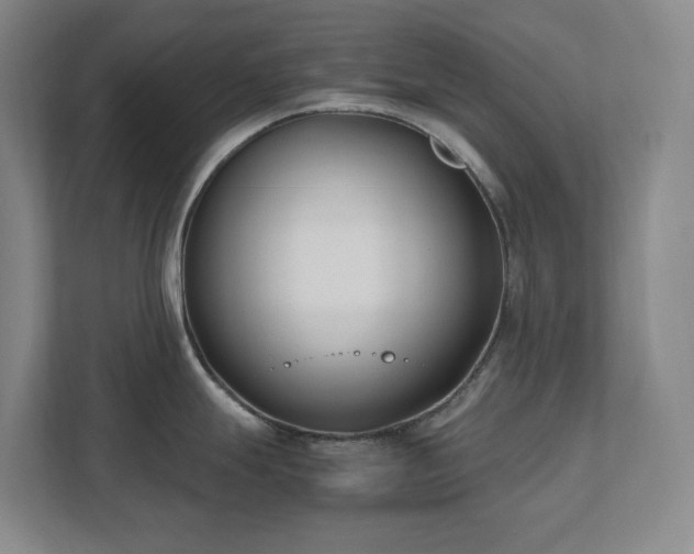 X0000111491247200907211003