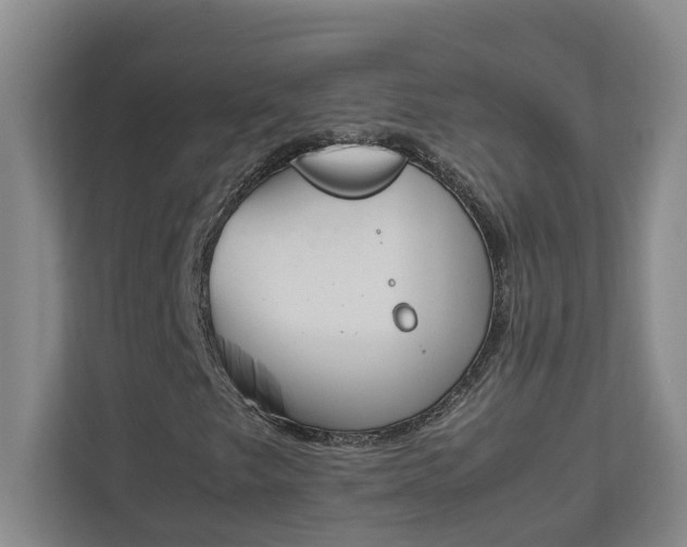 X0000111491249200907211002