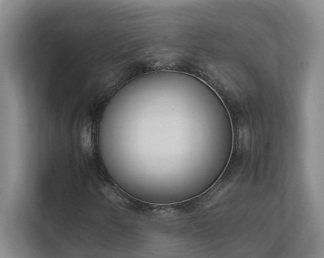 X0000111491250200907211002