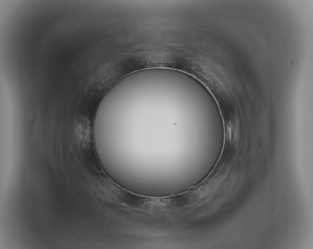 X0000111491251200907211002