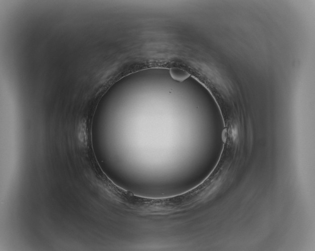 X0000111491252200907211002