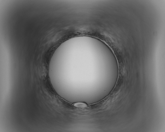 X0000111491253200907211002