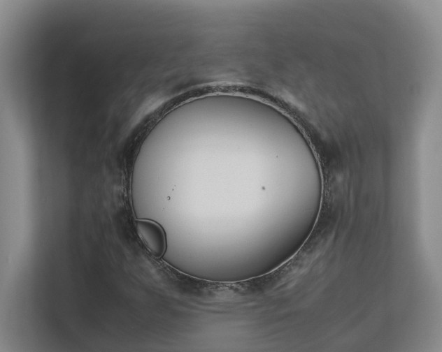 X0000111491255200907211002