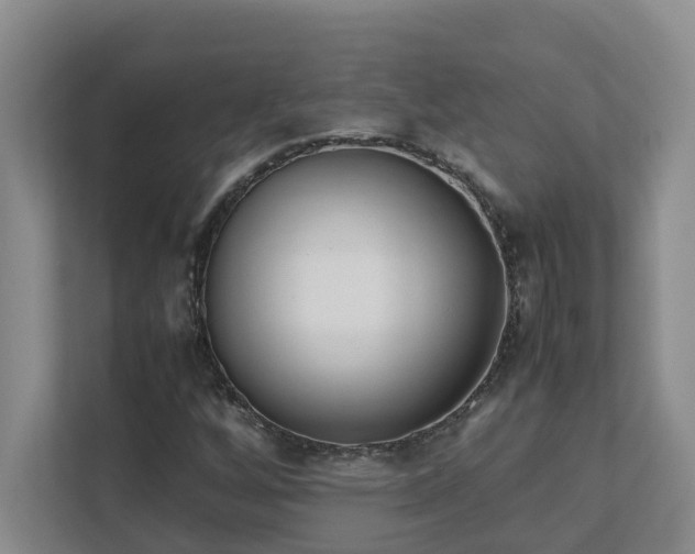 X0000111491256200907211002