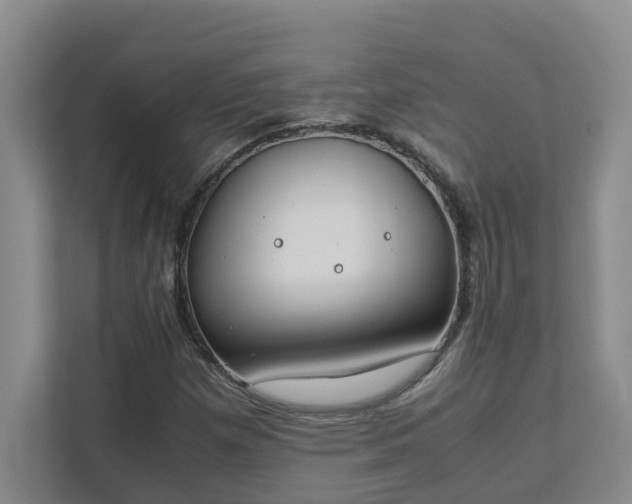 X0000111491257200907211002