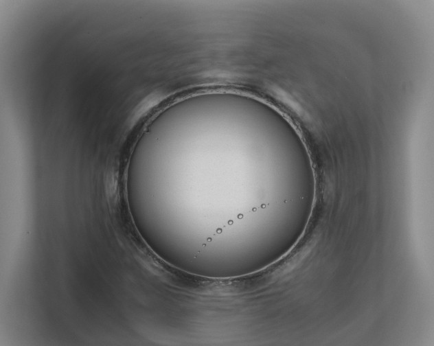 X0000111491259200907211002