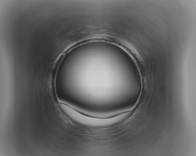 X0000111491260200907211002