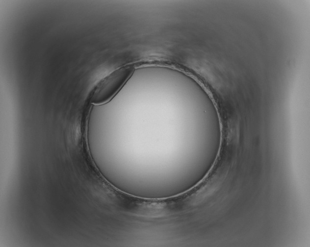 X0000111491261200907211002