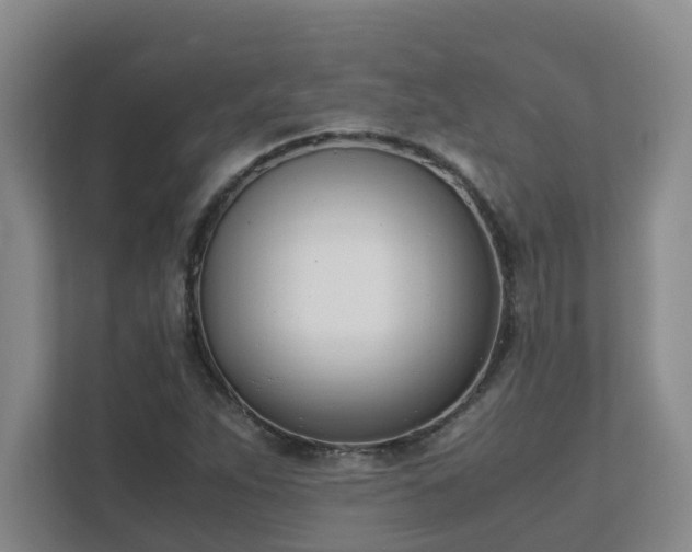 X0000111491263200907211002