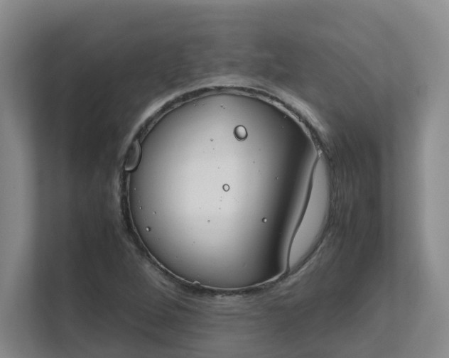 X0000111491264200907211002