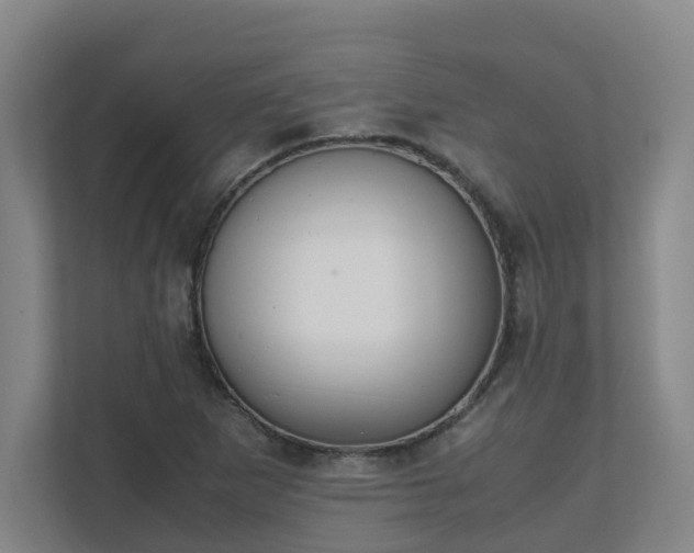 X0000111491265200907211002