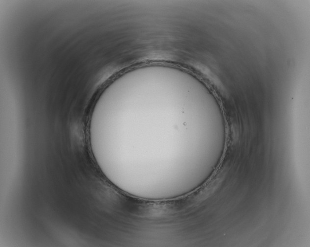 X0000111491266200907211002