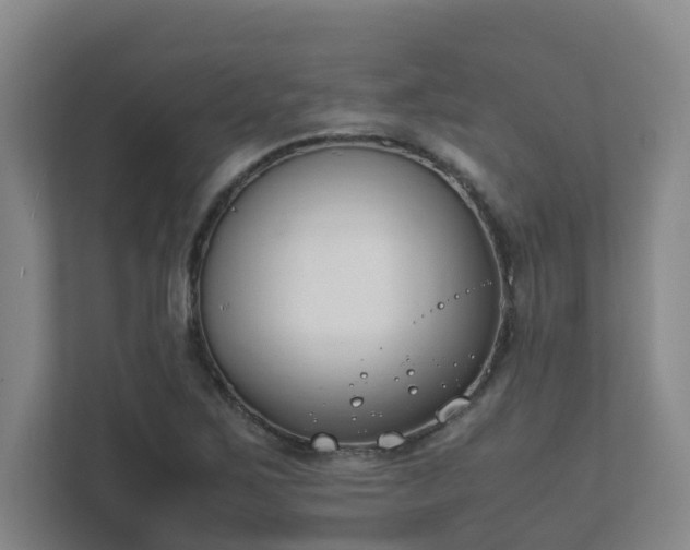 X0000111491267200907211001