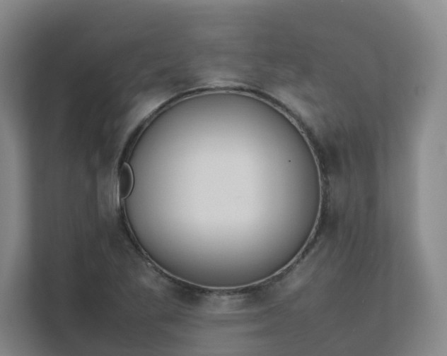 X0000111491269200907211001