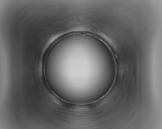 X0000111491270200907211001