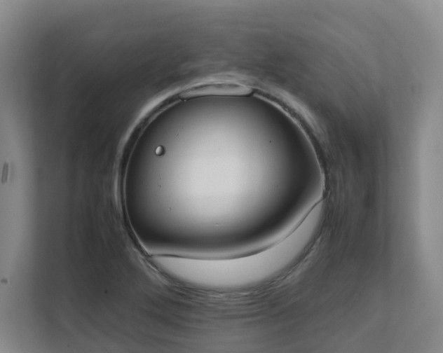 X0000111491272200907211001