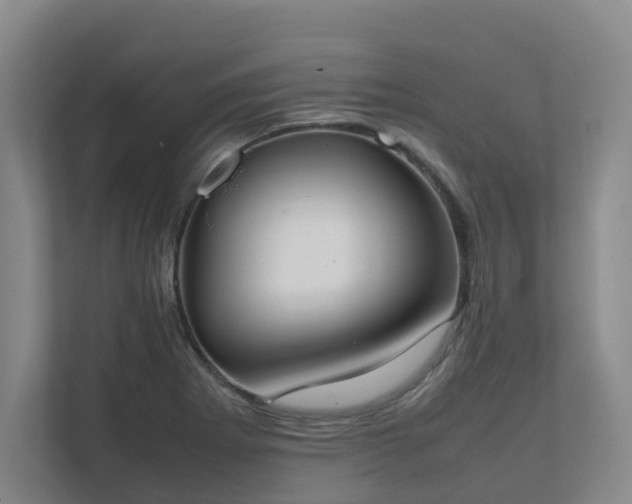 X0000111491273200907211001