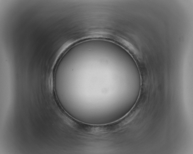 X0000111491275200907211001