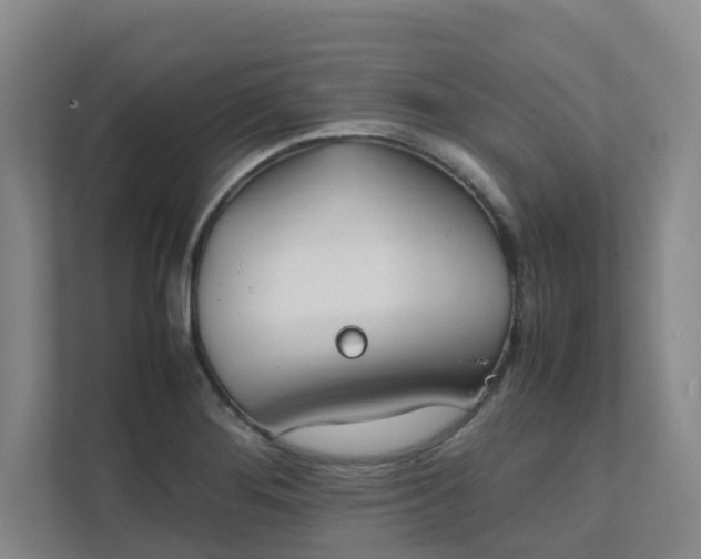 X0000111491276200907211001