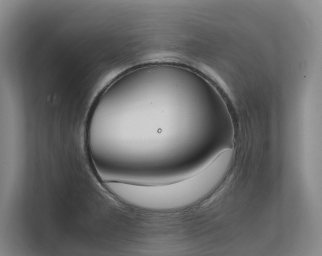 X0000111491277200907211001